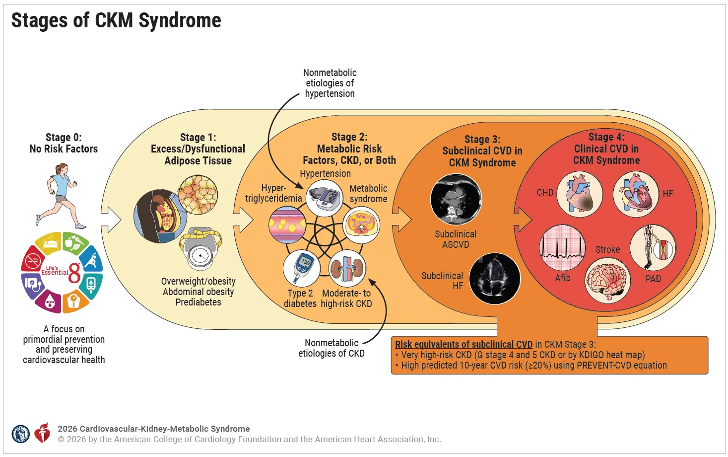 Stages of CKM Syndrome from Stage 0 (no risk factors) to Stage 4 (clinical CVD)